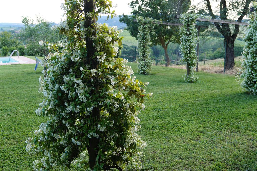 Tenuta Di Argiano A Montepulciano 基安奇安诺泰尔梅 外观 照片
